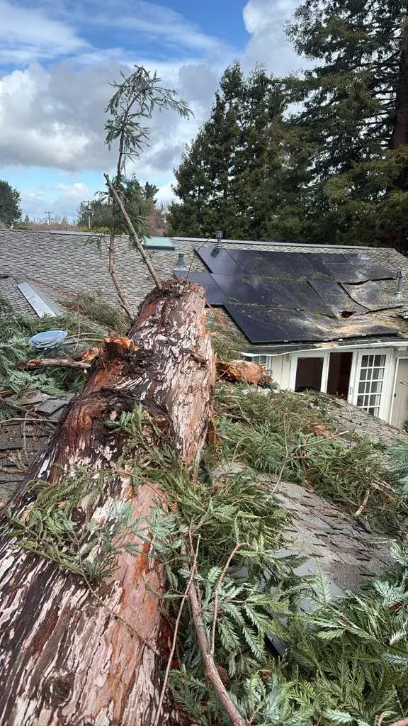 JB General Tree Service